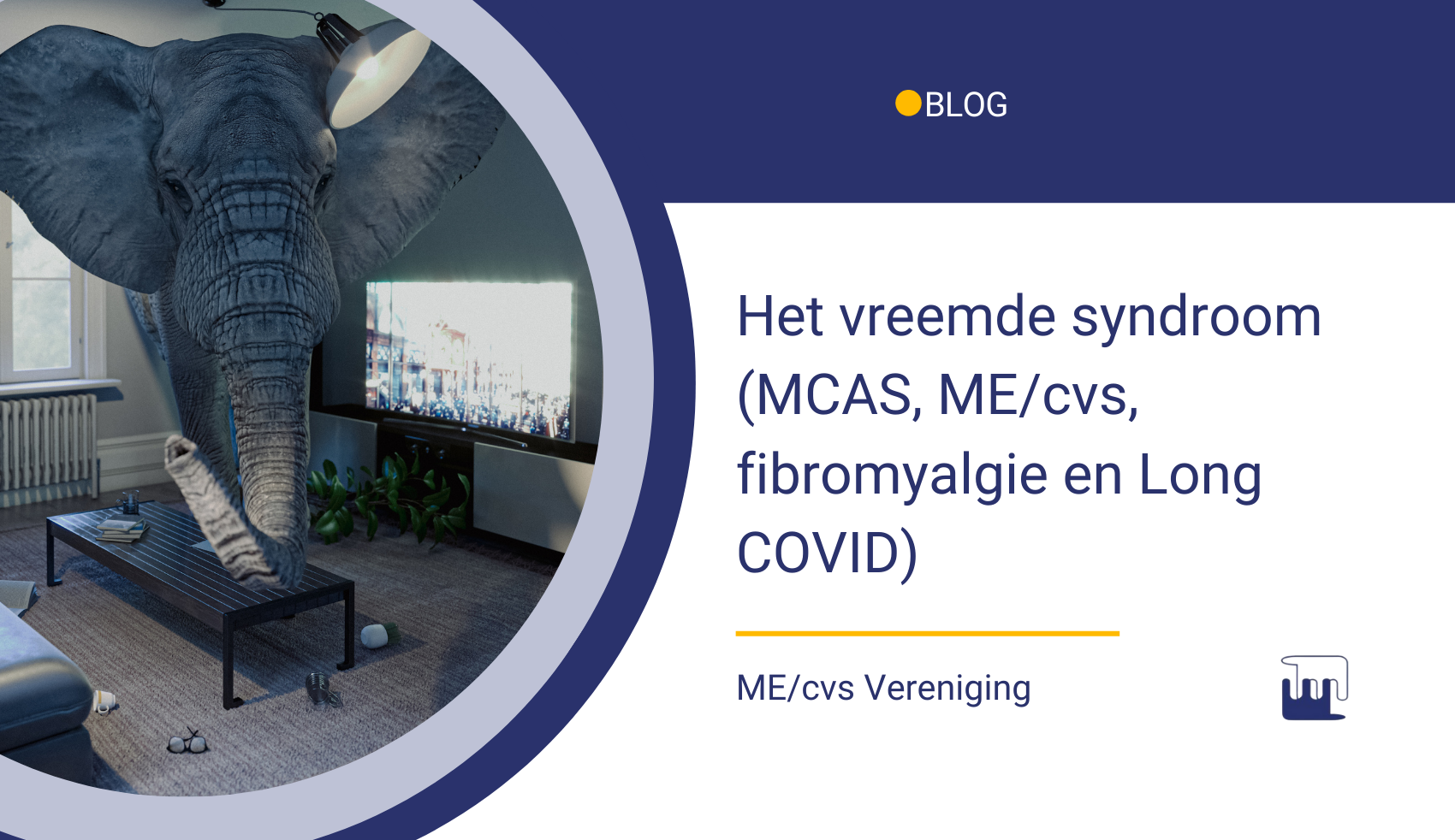 Het vreemde syndroom (MCAS, ME/cvs, fibromyalgie en Long COVID