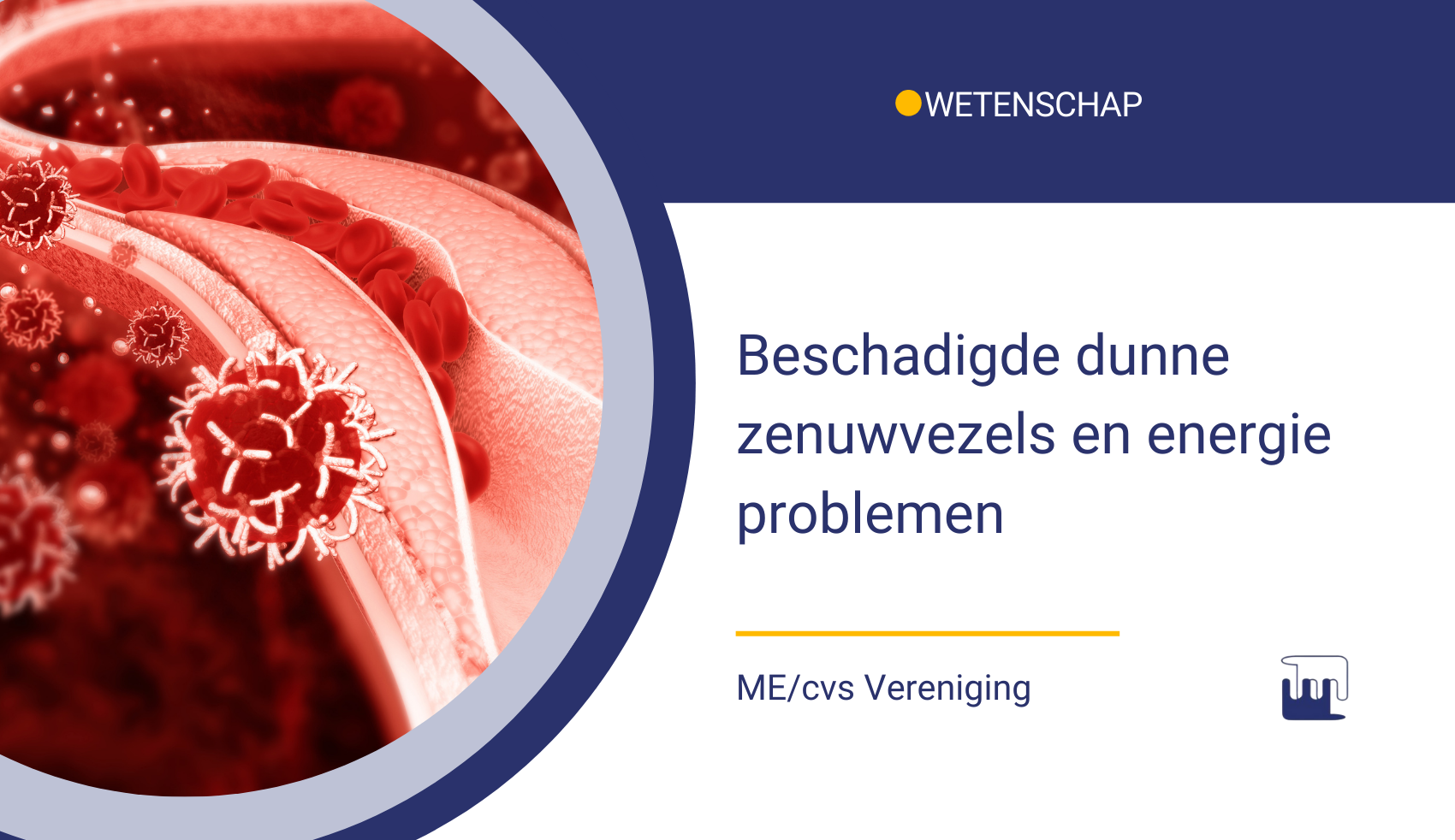 Beschadigde dunne zenuwvezels en energie problemen