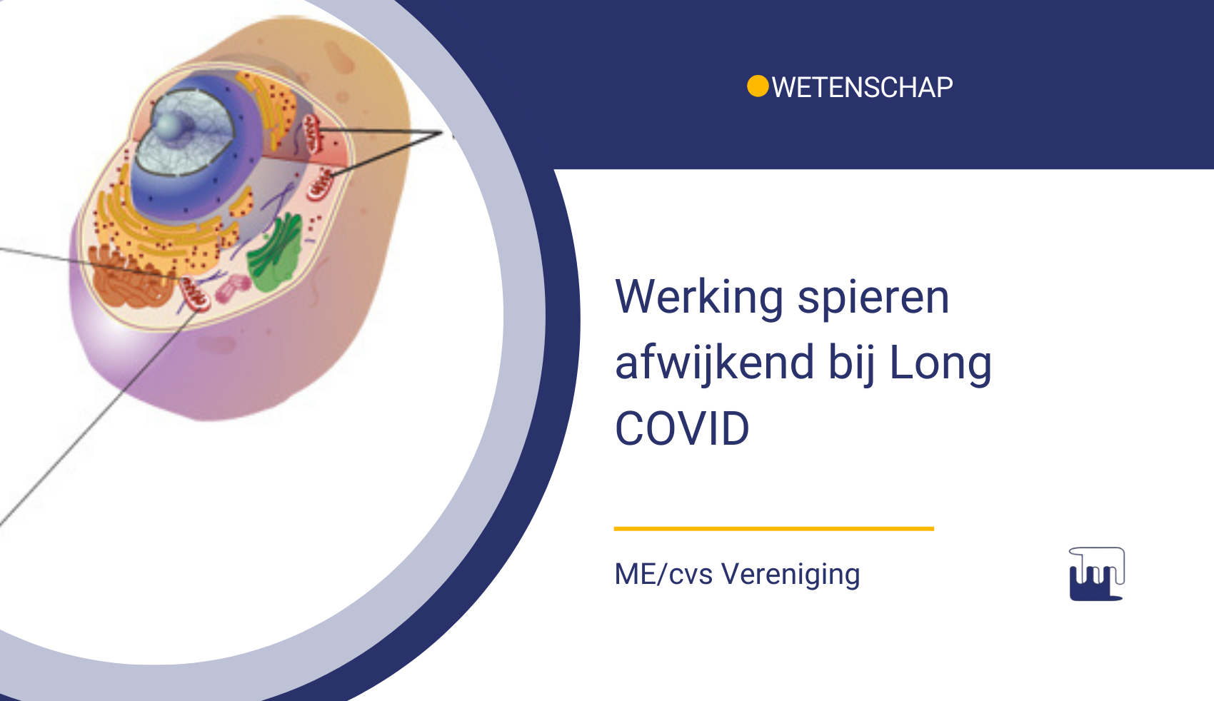 Werking spieren afwijkend bij Long COVID