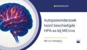 ME/cvs Hersenonderzoek