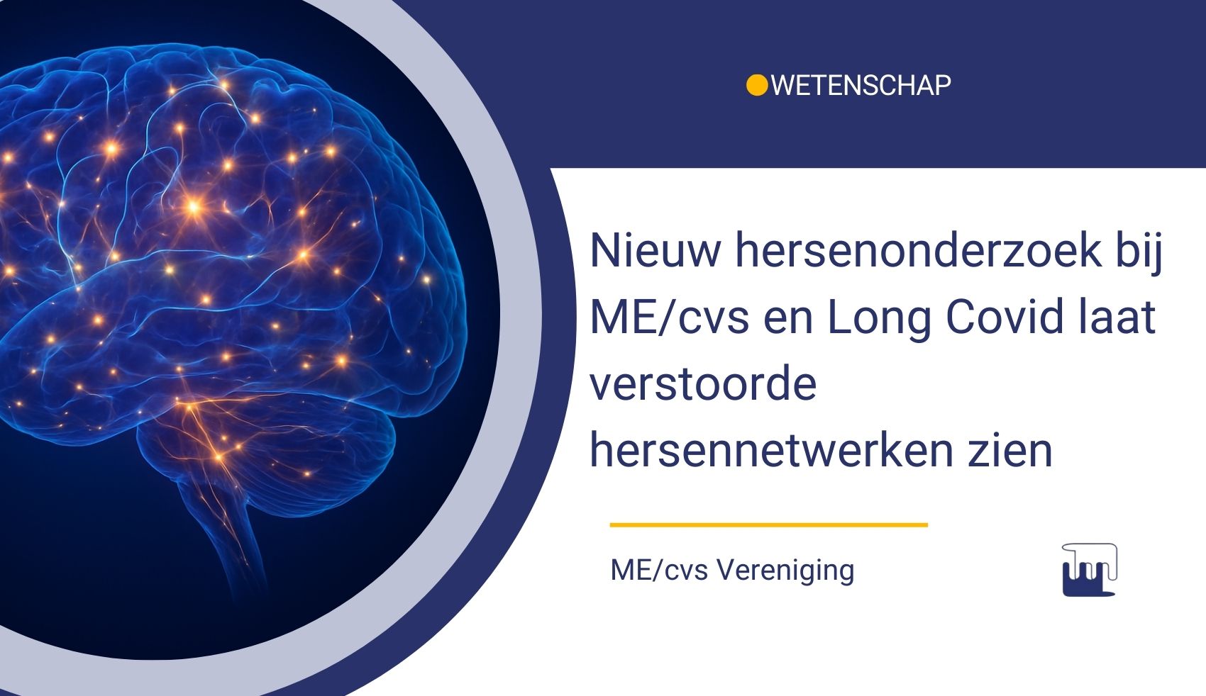 Verstoorde hersennetwerken 2026